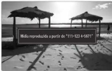 Média reproduzida a partir de "111-123 4-5671"
