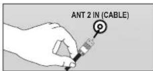 ANT 2 IN (CABLE)