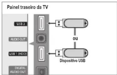 Painel traseiro da TV USB 2 AUDIO OUT USB 1 (HD-2) DIGITAL AUDIO OUT OU Dispositivo USB