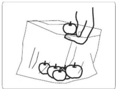 Dessin au trait simple d'une main tenant une pomme au-dessus d'une feuille de pommes (sans texte ni symboles)
