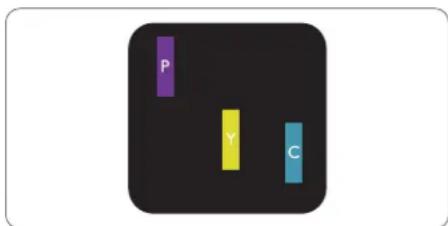 P Y C