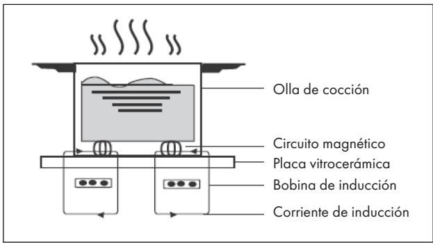 Olla de cocción Circuito magnético Placa vitrocerámica Bobina de inducción Corriente de inducción