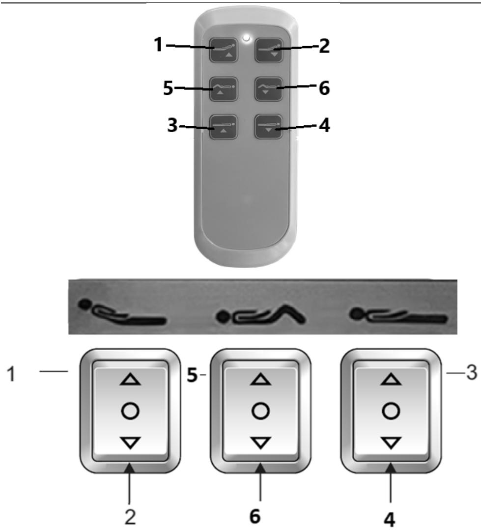 Physa TIVOLI 01 - Gestione - 1