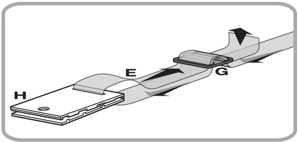 H E G