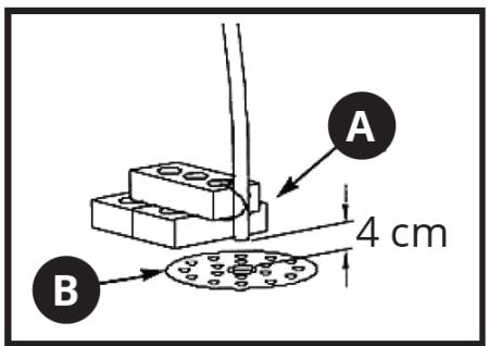 A 4 cm B