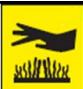 Royal Catering RCCD-1/1-100-KS-E - Leyenda - 4