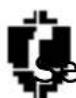 Amplicomms BigTel 1502 - Display Icons and Symbols - 2