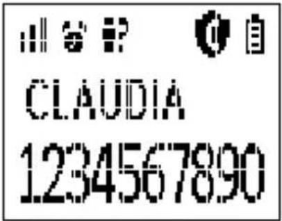 CLAUDIA 1234567890