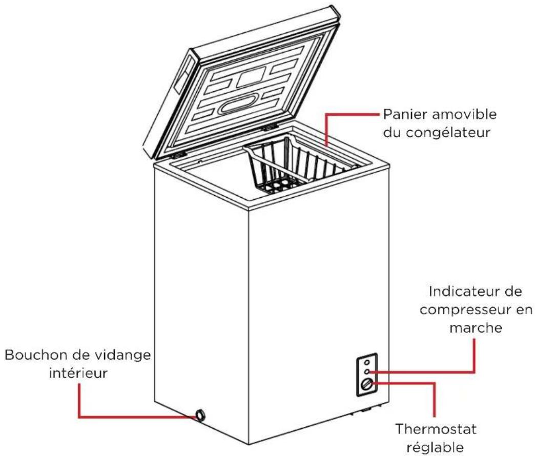 Panier amovible du congélateur Bouchon de vidange intérieur Indicateur de compresseur en marche Thermostat réglable