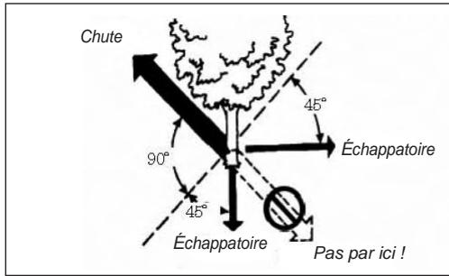 ISEKI 269TS / 269TCS / 320TS - Abattage d'un arbre - 1