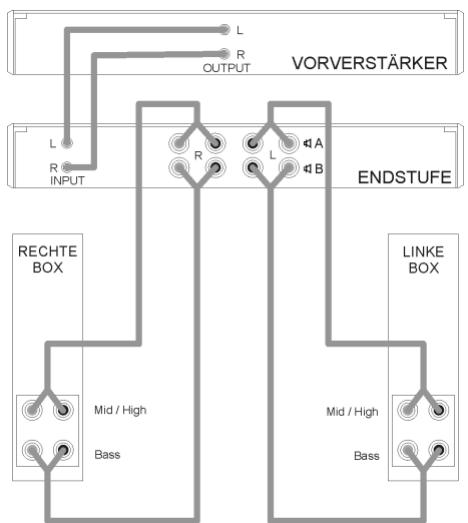 T+A Solitaire CWT 1000 - 40 - Bi - Wiring - 1