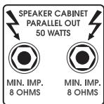 Hughes Kettner Vortex - SPEAKER OUTPUTS: - 3
