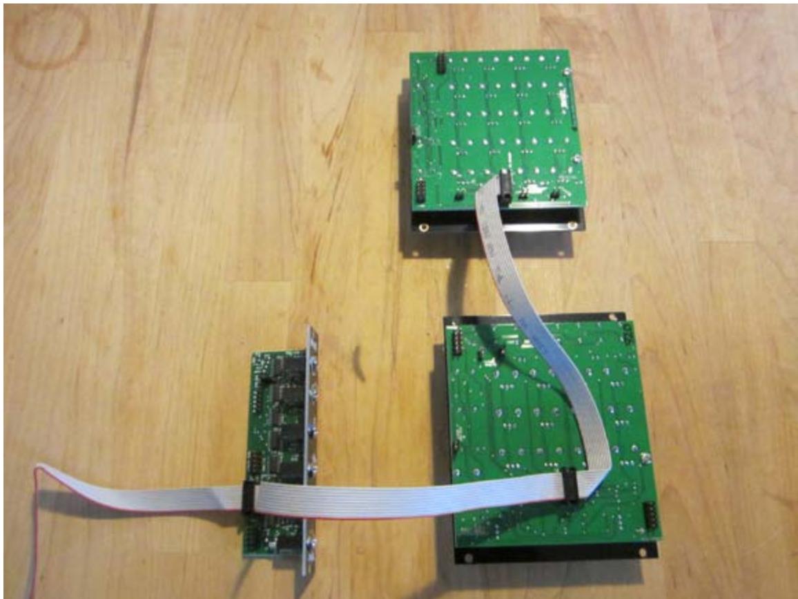 Make Noise Analog Memory - Connecting 1 Analog Memory to Pressure Points/ BRAINS - 1