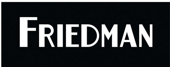 Friedman Dirty Shirley - ANY MODIFICATION TO THE AMPLIFIER WILL - 1