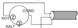Cayin CS-6PH - Symmetrischer Anschluss: - 2